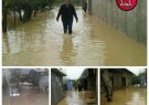 جویبار آرام سیلابی شد !
