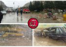 از دعای داریوش بزرگ تا نابخردی های ما فرزندان ایران